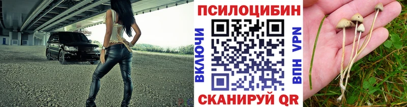 OMG tor  Находка  Галлюциногенные грибы GOLDEN TEACHER  как найти наркотики 