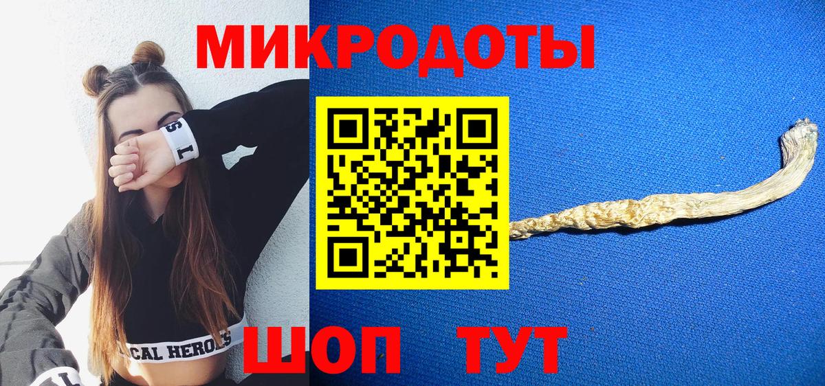 Псилоцибиновые грибы Cubensis Находка